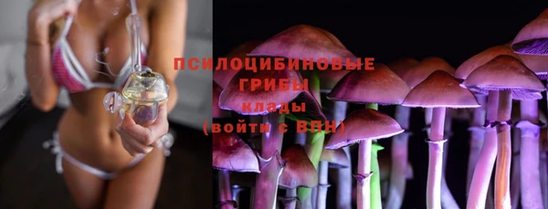 гидропоника Абаза