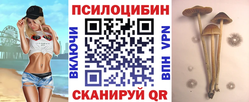Галлюциногенные грибы Cubensis  Кандалакша 