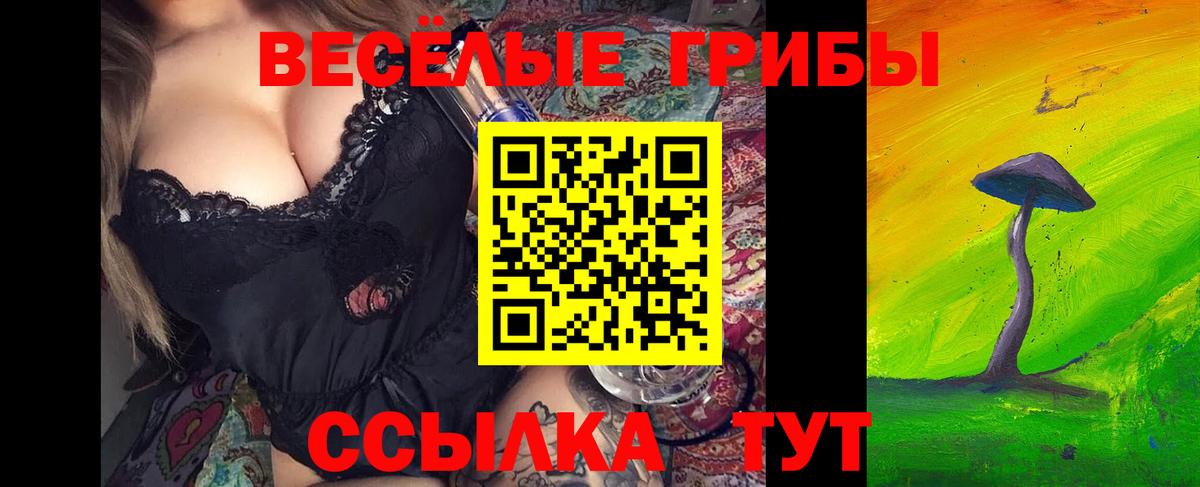 Псилоцибиновые грибы прущие грибы  Вход с VPN  Псилоцибиновые грибы ЛСД  Кандалакша 