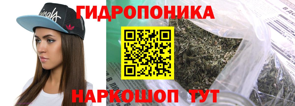 МАРИХУАНА план  Вход с VPN  Каннабис SATIVA & INDICA  Кандалакша 